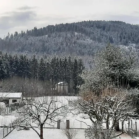 Chez Vovone 3 Etoiles Clevacances Saulxures-sur-Moselotte Exterior photo