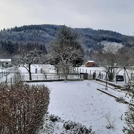 Chez Vovone 3 Etoiles Clevacances Saulxures-sur-Moselotte Exterior photo