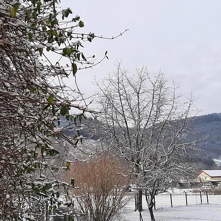 Chez Vovone 3 Etoiles Clevacances Saulxures-sur-Moselotte Exterior photo
