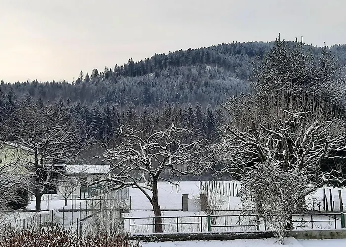 Chez Vovone 3 Etoiles Clevacances