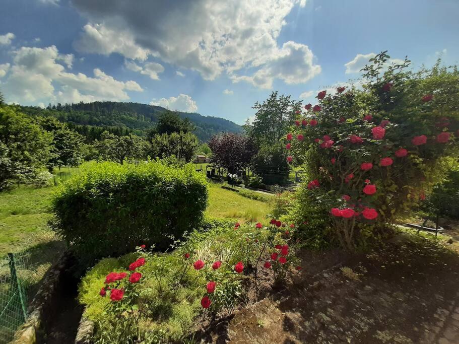 Chez Vovone 3 Etoiles Clevacances Holiday home